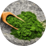 NeuroPrime-Chlorella