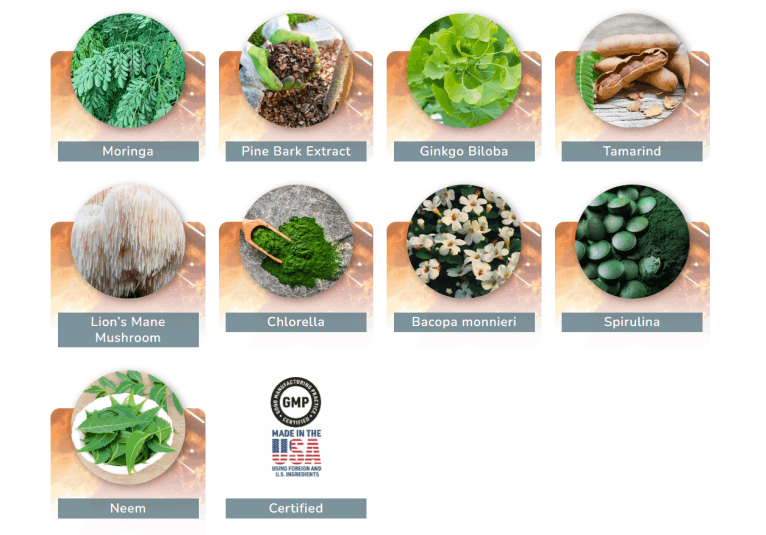 NeuroPrime Ingredients